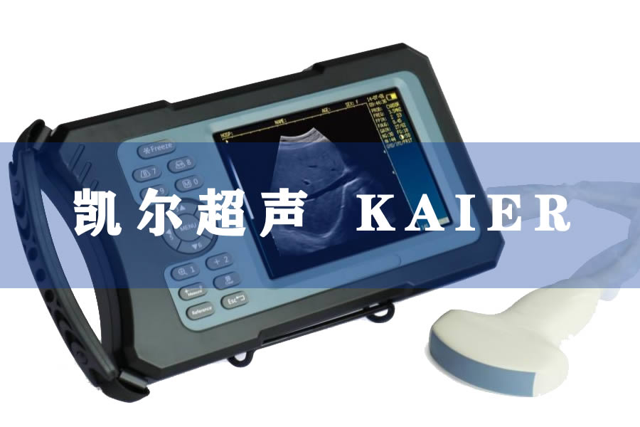 牛用B超機(jī)-牛B超給母牛做b超多久可以檢查出來懷