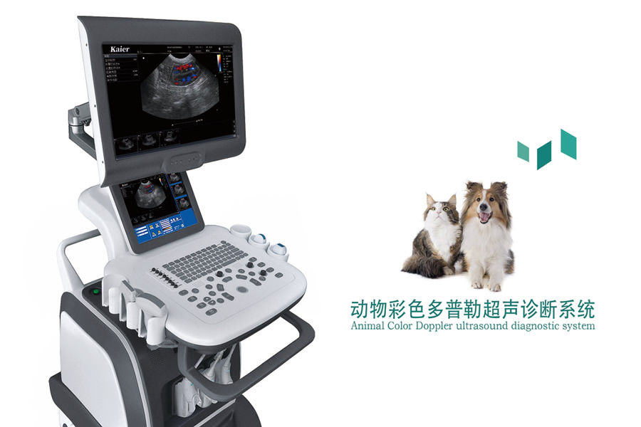 教您怎樣使用獸用B超機？